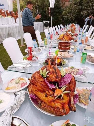 انتخابات الشيوخ 3