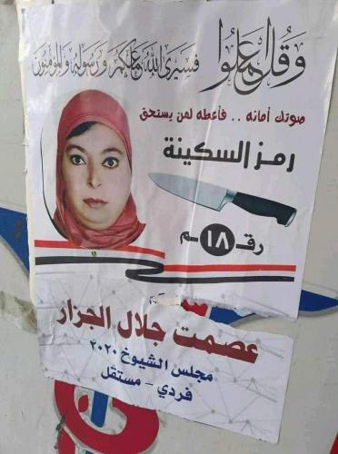 انتخابات الشيوخ 5