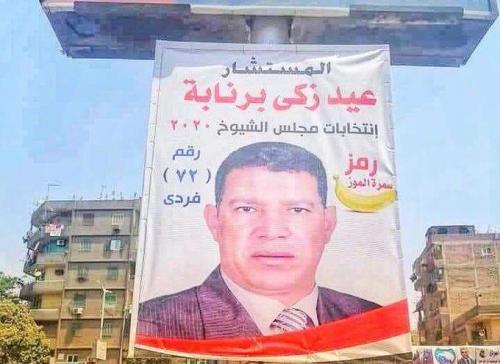 انتخابات الشيوخ 6