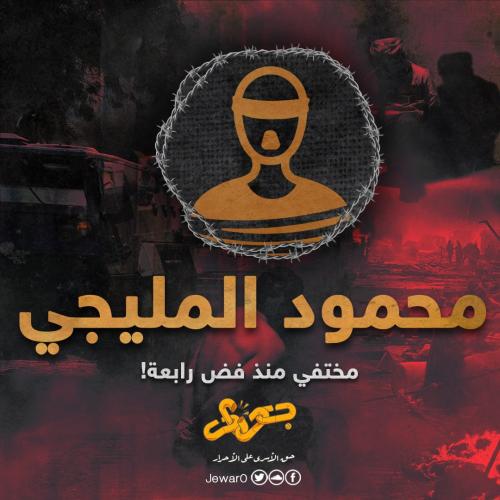 محمود المليجي